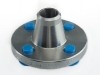 Stainless Steel Weldneck Flanges