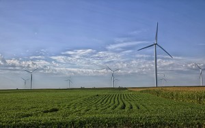 Wind Farm